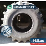 Шина 800/65R32 AC 70 N 178A8/175B TL Mitas